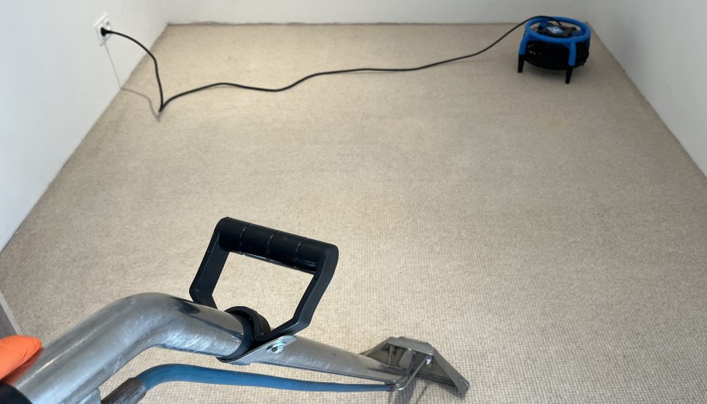 Pranie wykładziny w Brodnicy